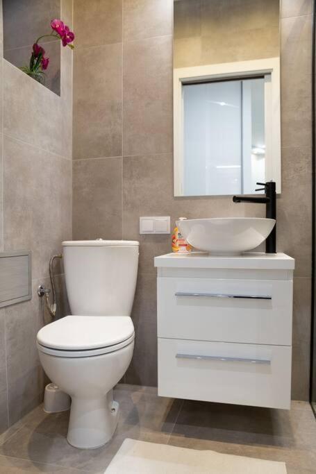 Shy But Shining! Lovely, Stylish & Fully Equipped. Daire Krakow Dış mekan fotoğraf